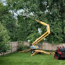 Best Sod Installation  in Arial, SC